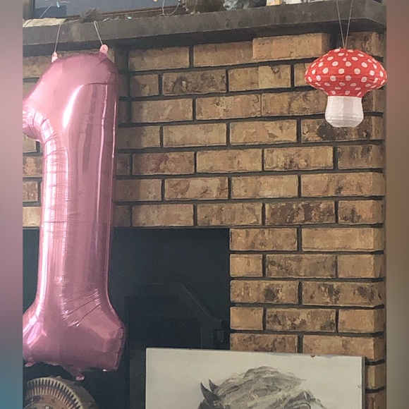 ONEderland party decor - Picture 2 of 10